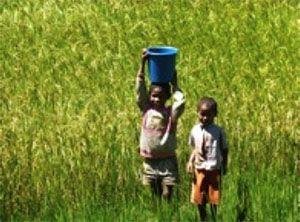 Enfants à Madagascar